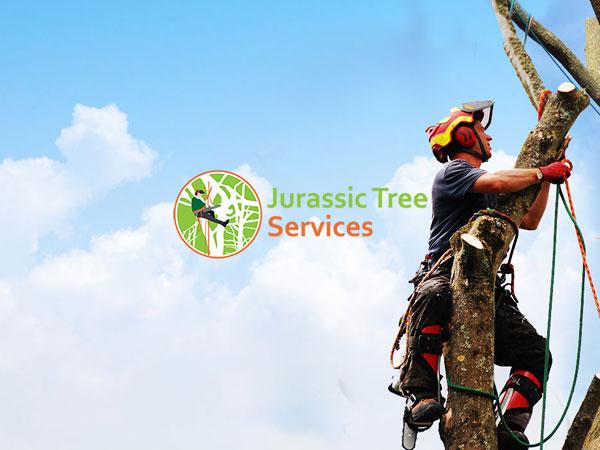 TreeSOS website shown on a laptop screen