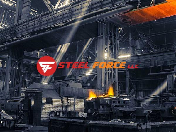 Steel Force LLC website product catalogue shown on a laptop