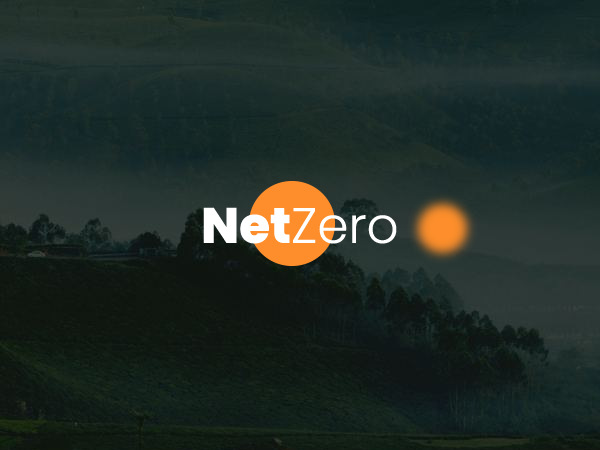 Client - OMS Netzero - Web Choice