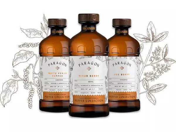 Paragon - Web Choice